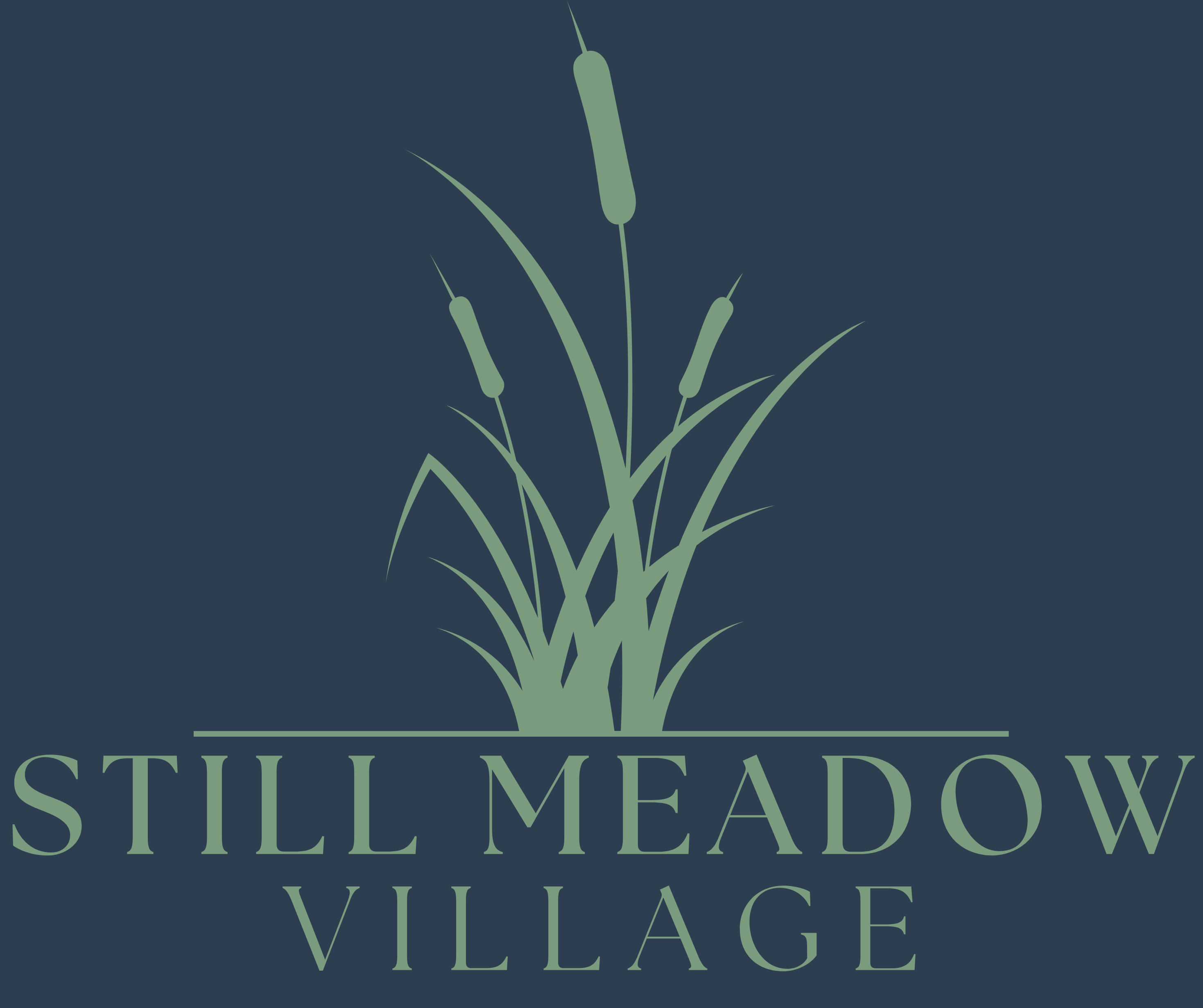 A logo with the words "Still Meadow Village" and a graphic of grass.
